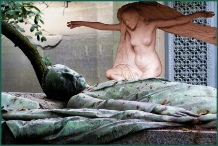 inspiration  d'image